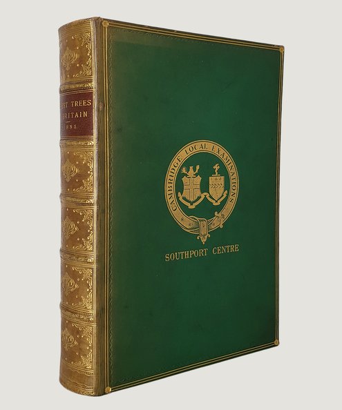  The Forest Trees of Britain.  Johns, Rev. C. A. & Boulger, G. S.