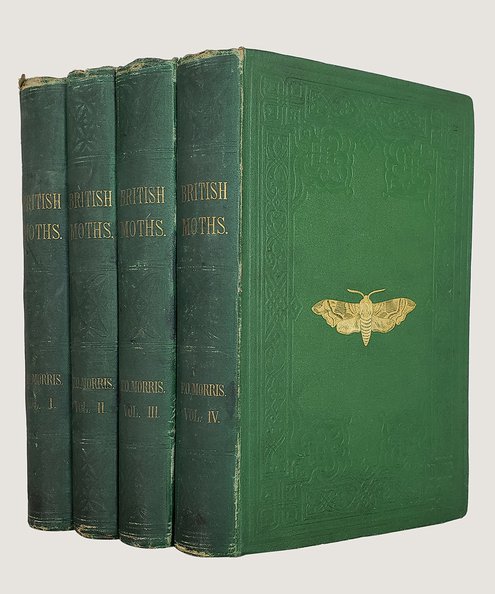  A Natural History of Moths [Complete is 4 volumes].  Morris, Rev. F. O.