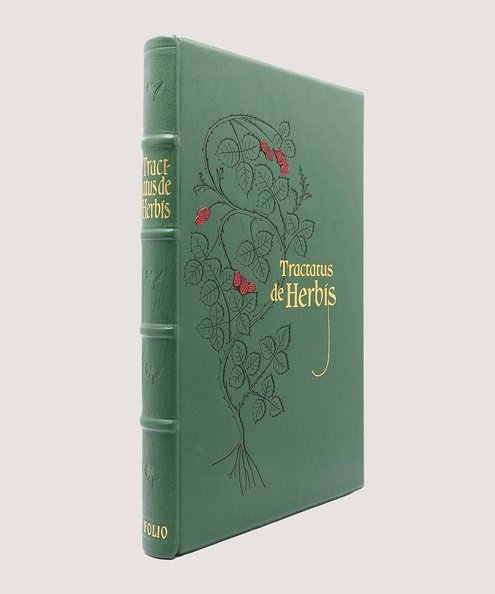  Tractatus de Herbis [with] Commentary.  Collins, Minta (ed.).